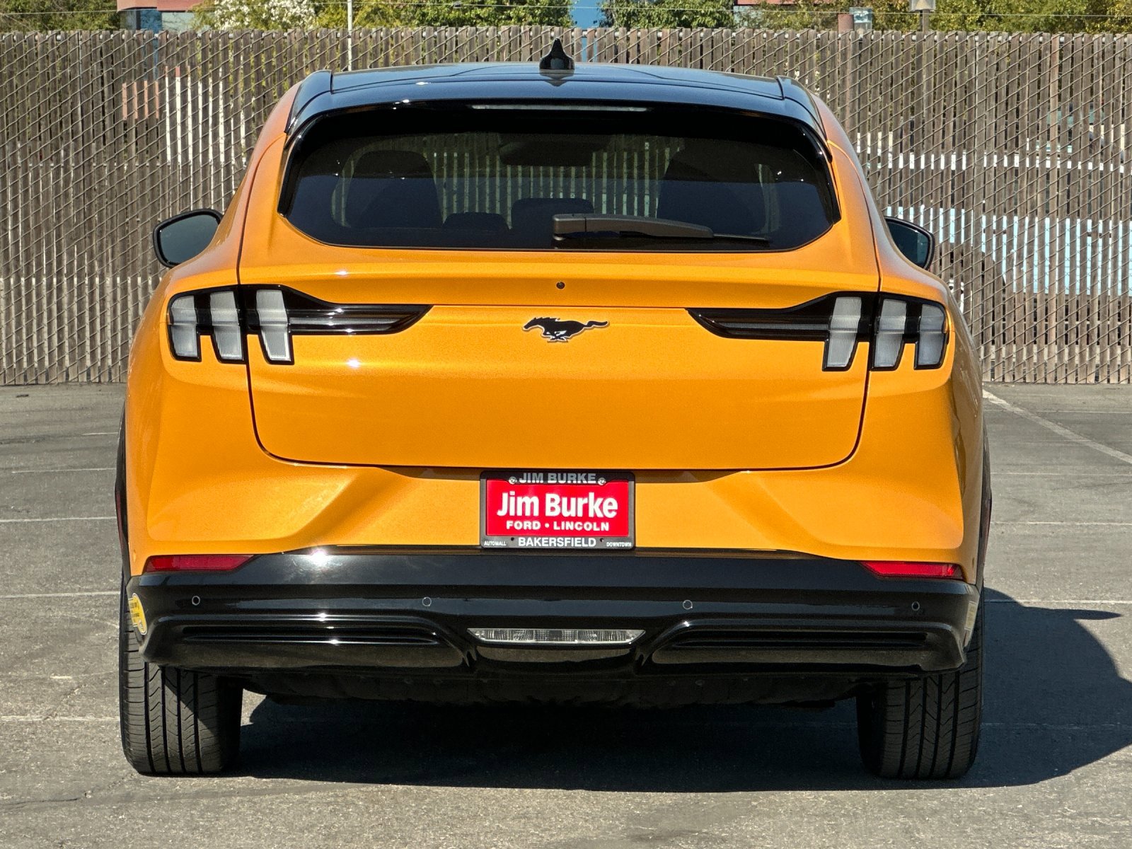 2022 Ford Mustang Mach-E Premium photo 4