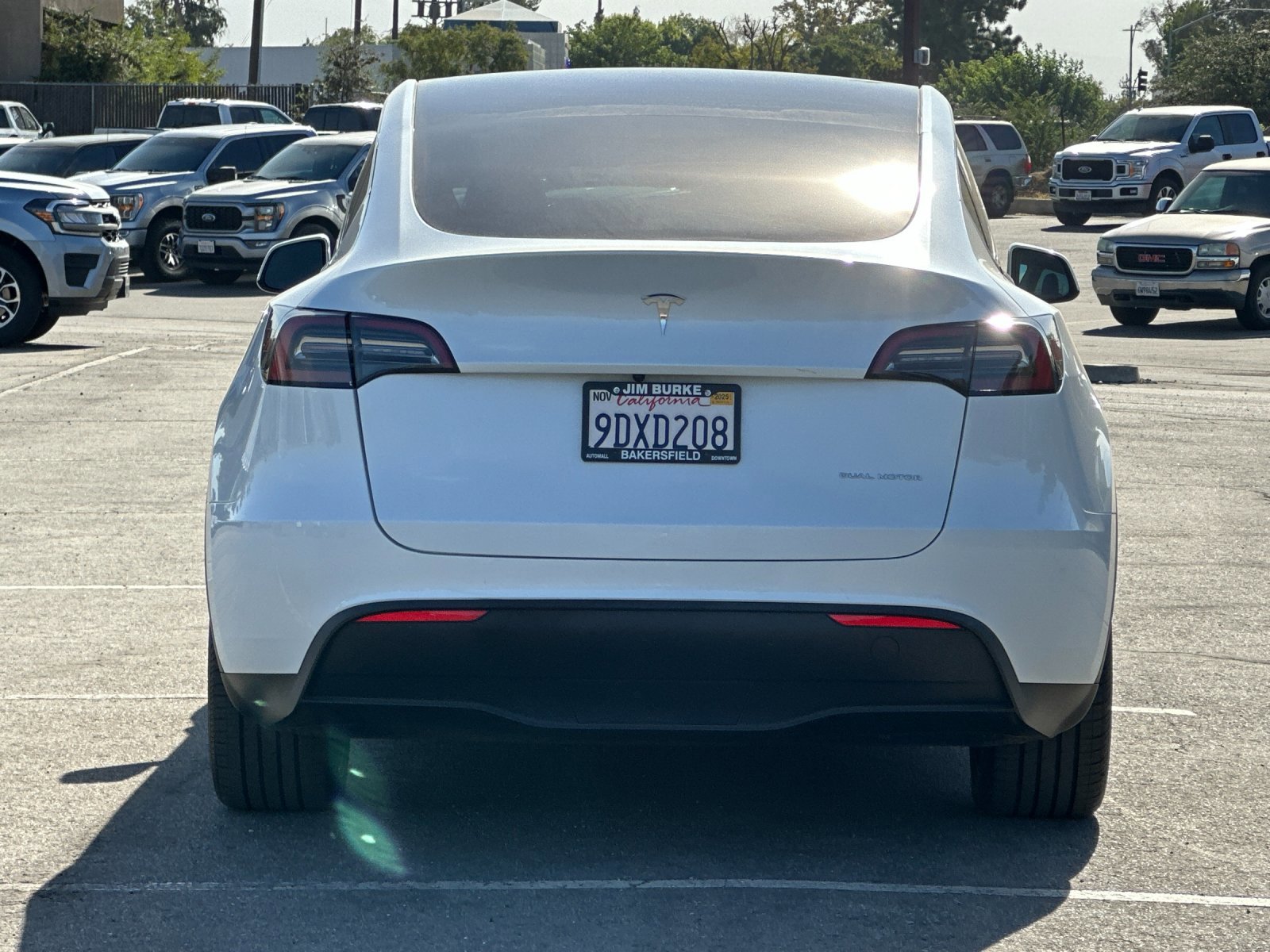 2023 Tesla Model Y photo 4