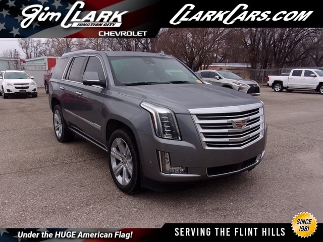 2019 Cadillac Escalade Platinum's photo