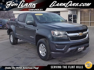 2019 Chevrolet Colorado Work Truck Truck