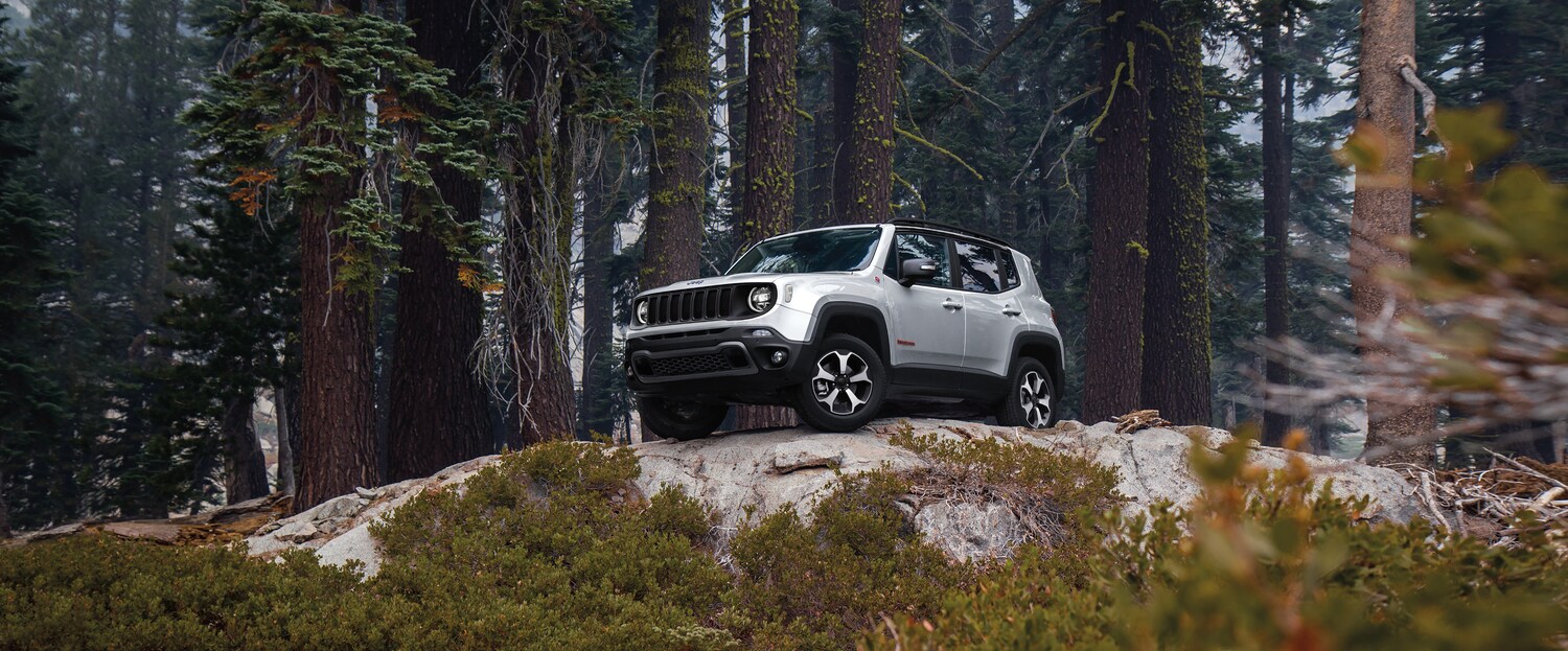 silver Jeep Renegade SUV parked on a rock outcropping in a forest