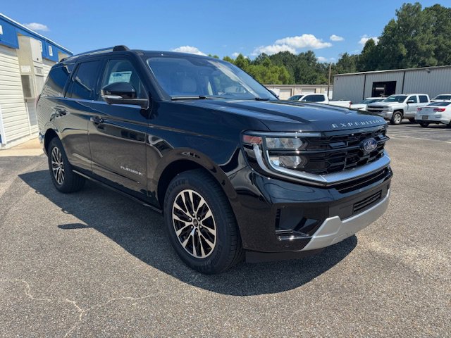 2025 Ford Expedition Platinum photo 2