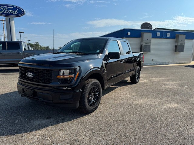 2025 Ford F-150 STX photo 2
