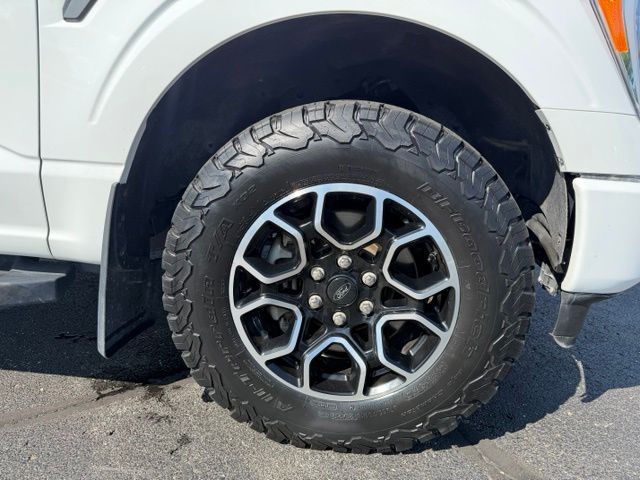 Photo 19
