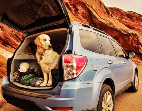 lease vs buy compare a subaru lease and traditional car loan at compare lease to buy car