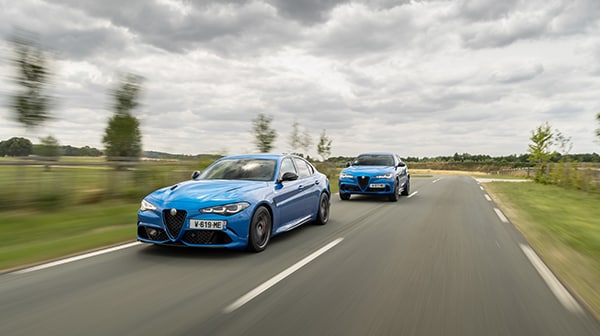 alfa%20image%202.png
