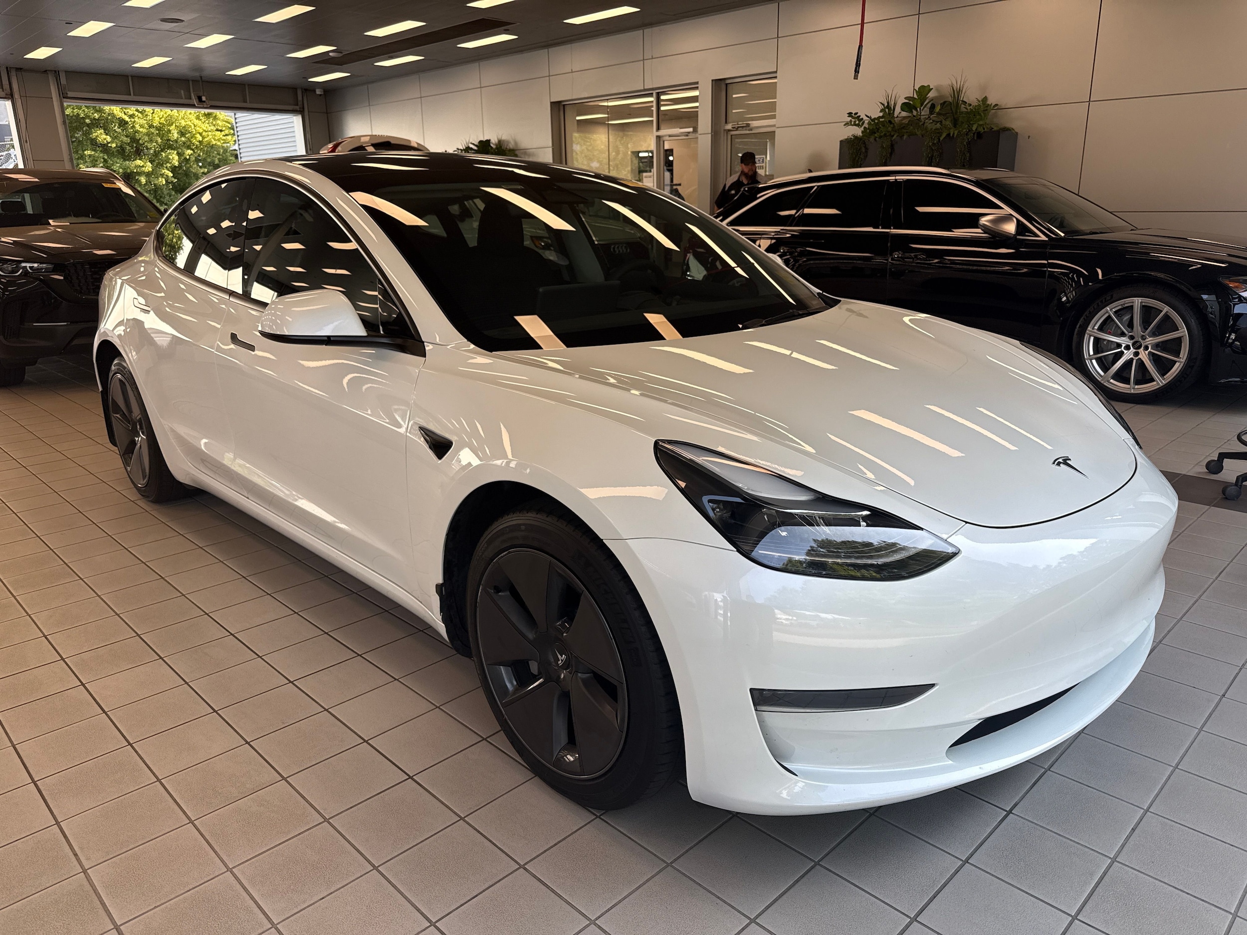 2023 Tesla Model 3 -'s photo