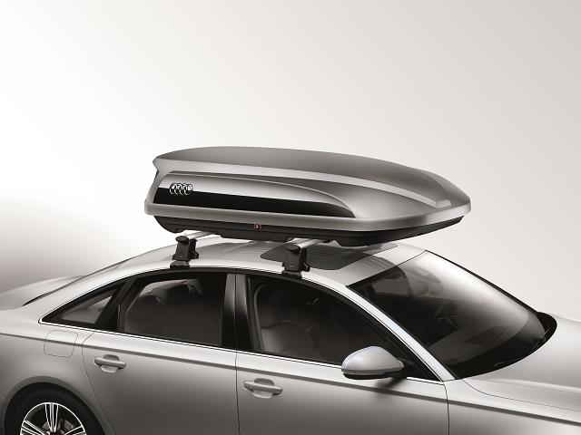 Audi shop ski rack