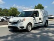  Ram Promaster City Wagon