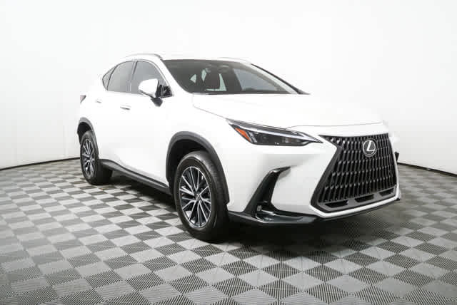 2025 Lexus NX 350h 350h AWD's photo
