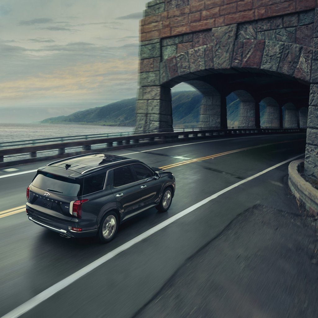 2020 Hyundai Palisade Limited tunnel