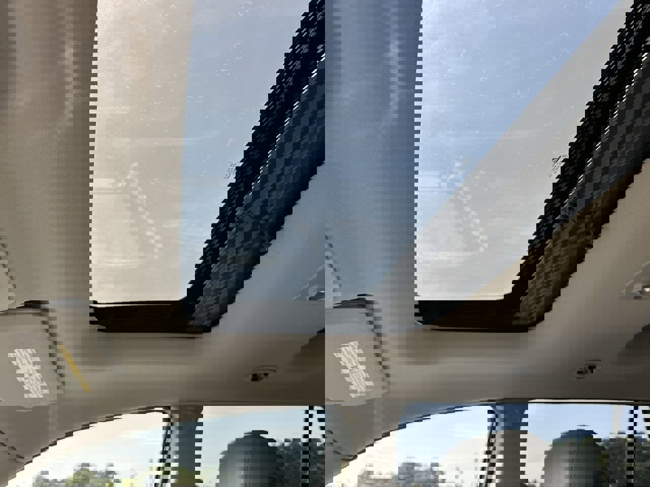 View 19