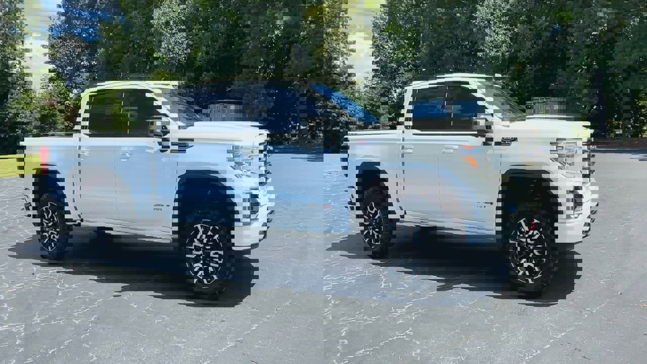 2021 Gmc Sierra 1500 AT4 photo 3