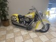  Indian Chief