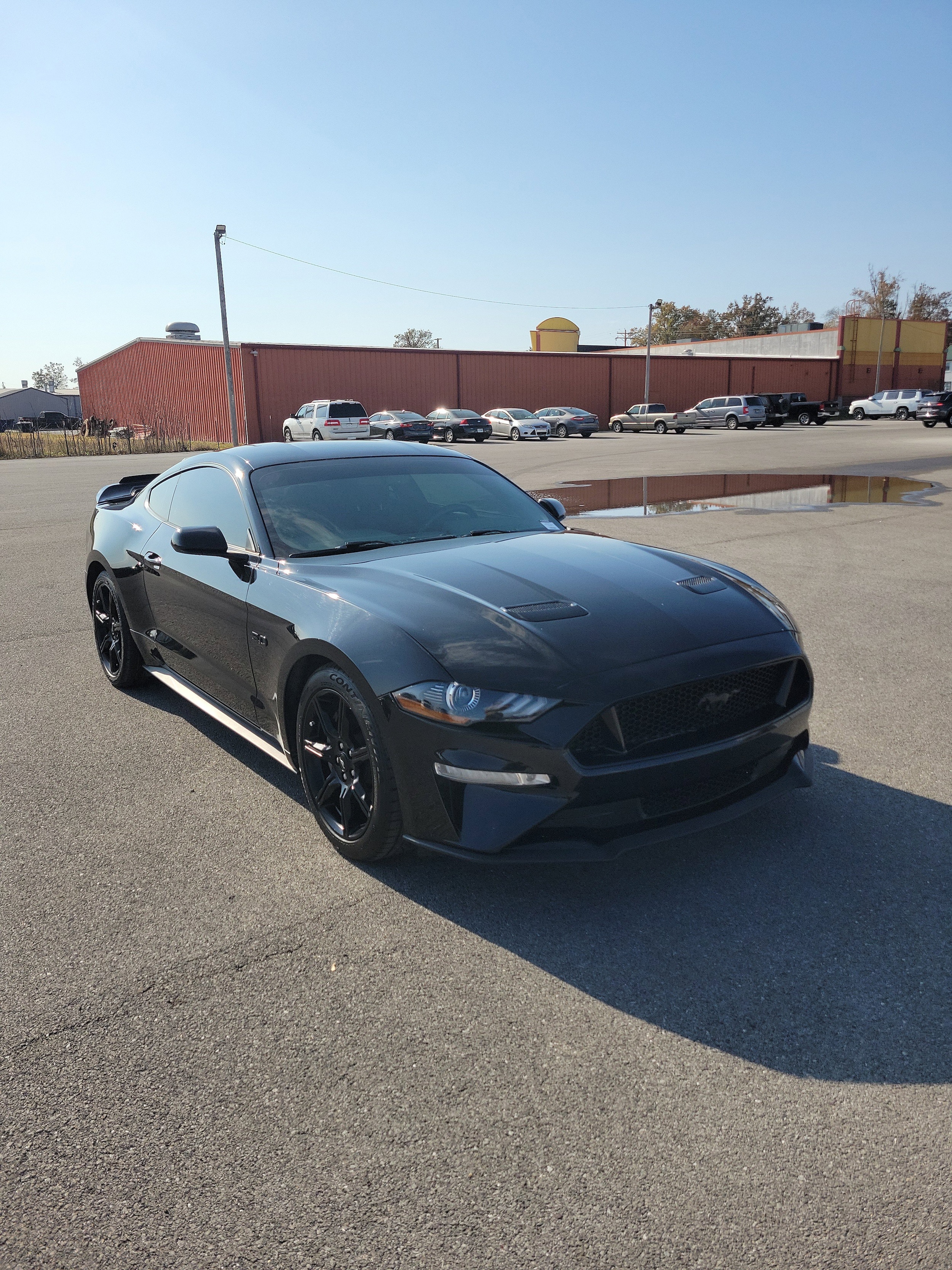 2020 Ford Mustang GT's photo