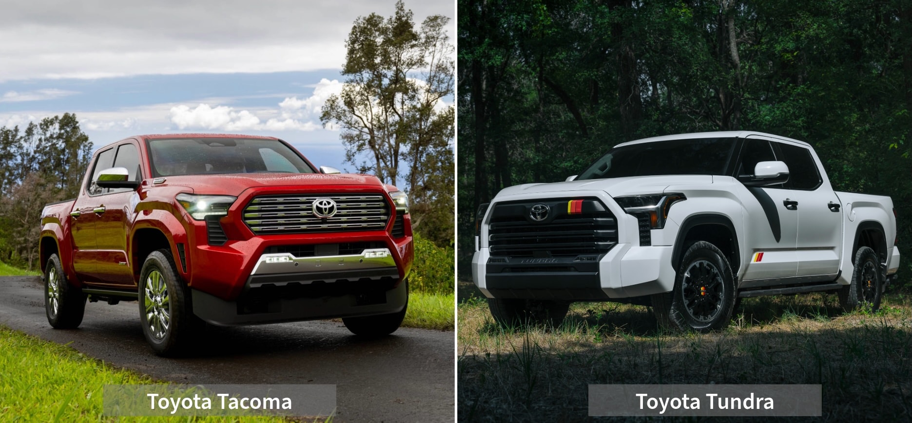 tacoma%20and%20tundra.jpg