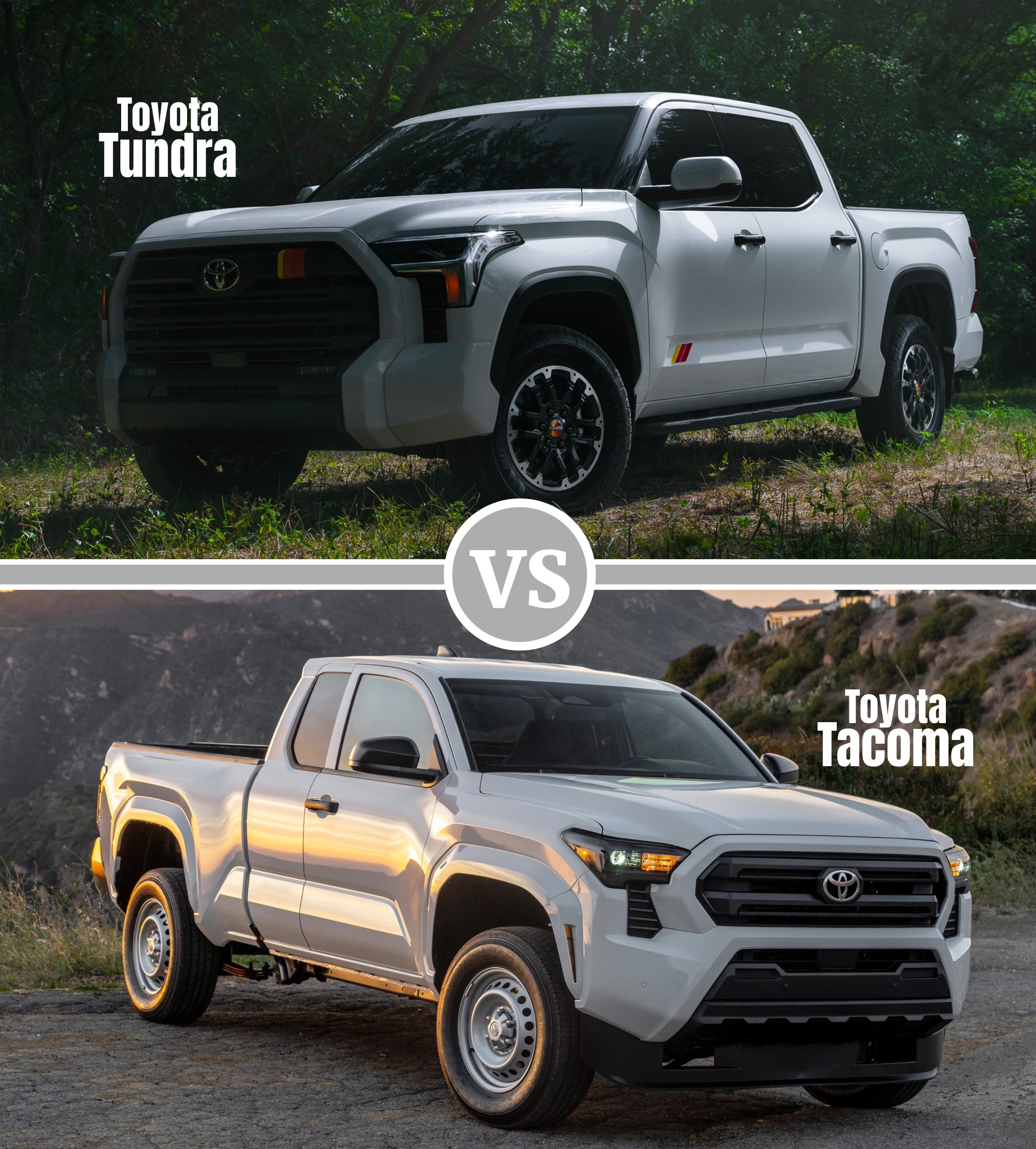 Tundra%20vs%20Tacoma.jpg