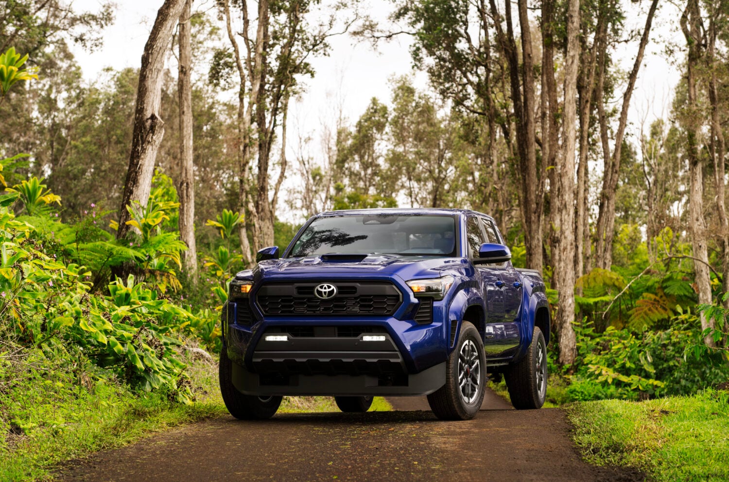 2025_Toyota_Tacoma_TRD_Sport_003-1500x992.jpeg