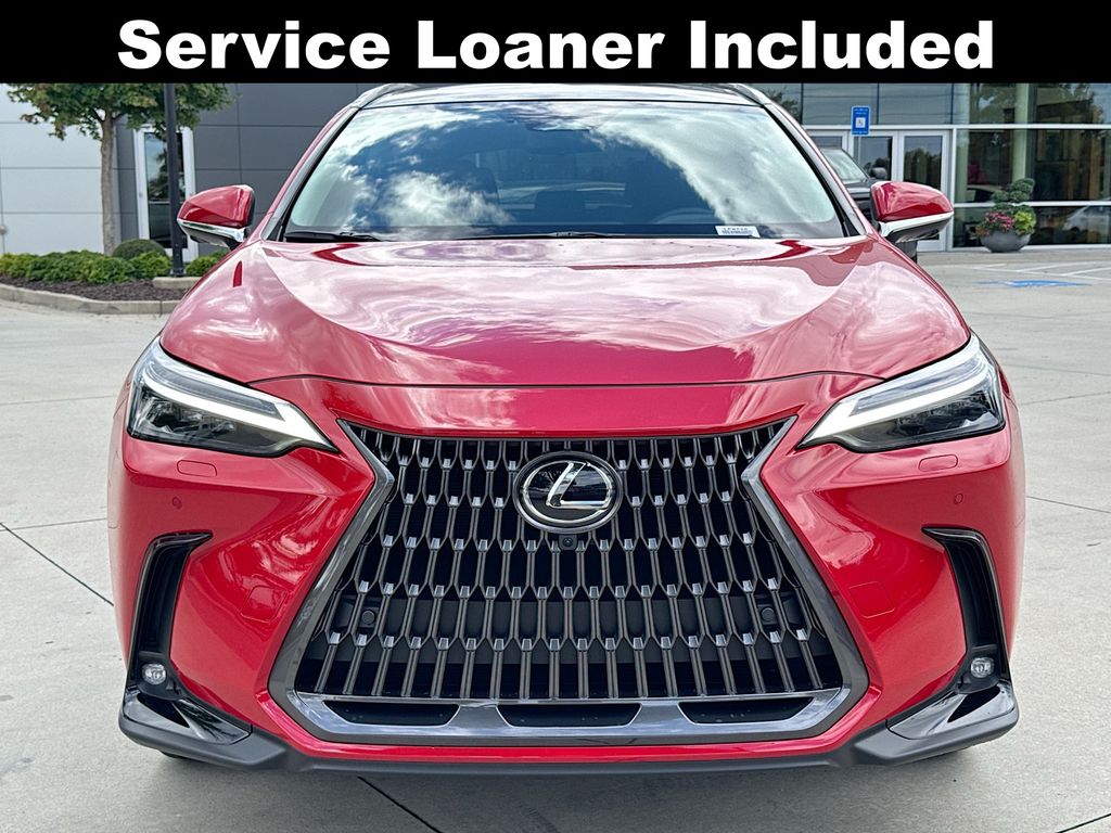 2025 Lexus NX 350 Luxury photo 4