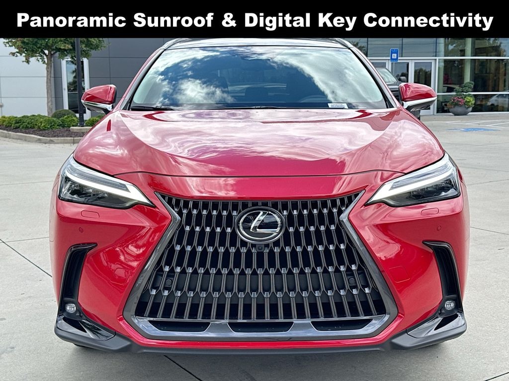 Used 2025 Lexus NX 350 Luxury SUV
