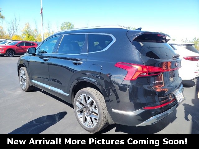 2022 Hyundai Santa Fe Calligraphy photo 2