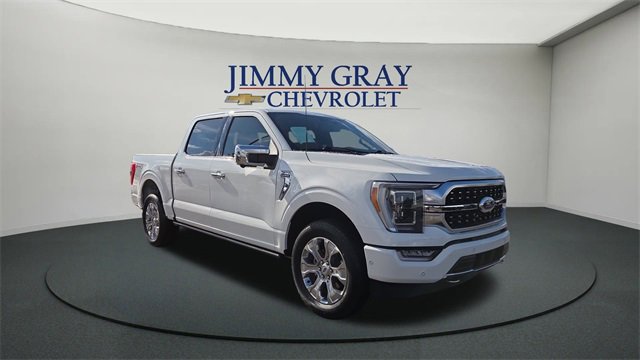 2023 Ford F-150 Platinum's photo