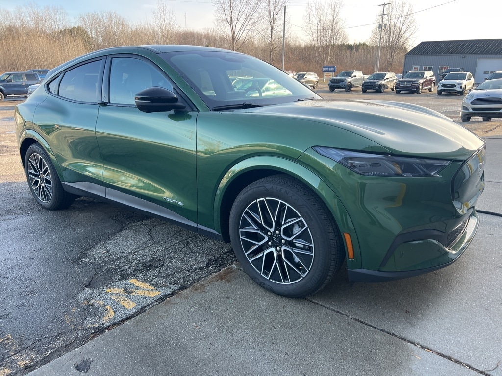 2025 Ford Mustang Mach-E Premium AWD's photo