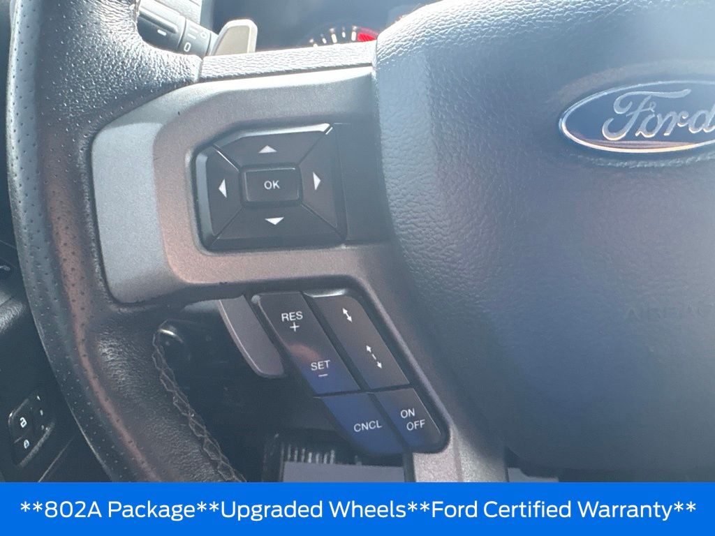 2020 Ford F-150 Raptor - Photo 12