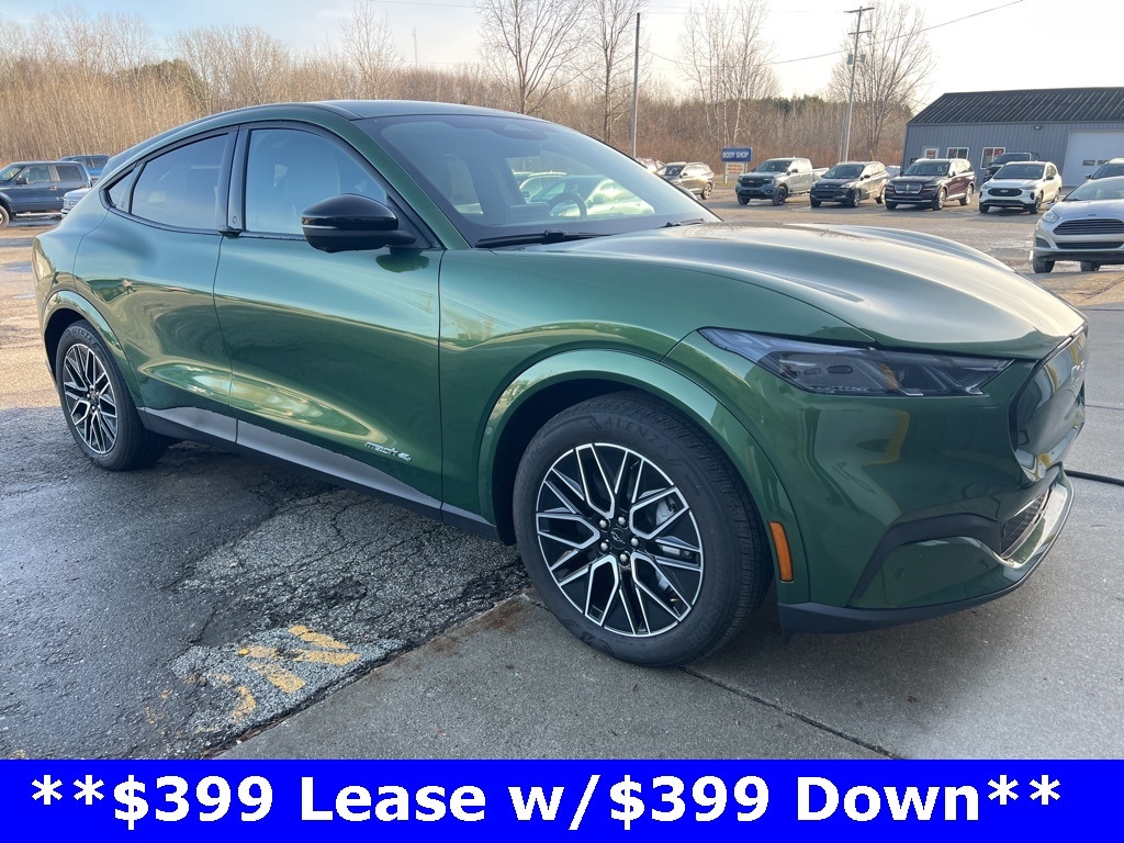 2025 Ford Mustang Mach-E Premium AWD's photo