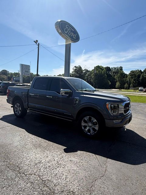 2023 Ford F-150 Platinum - Photo 10
