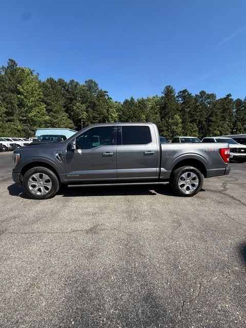 2023 Ford F-150 Platinum 4x4 SuperCrew 5-1/2 Box's photo