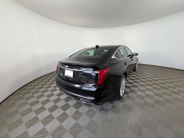 Used 2021 CADILLAC CT5 For Sale in Clinton Township MI Near