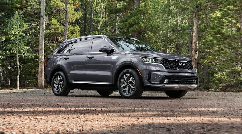 Grey 2024 Kia Sorento parked among forest trees