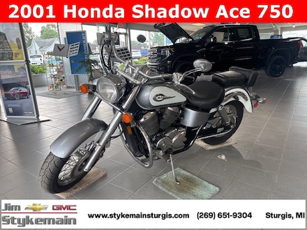2001 Honda VT750 Shawdow ACE 750