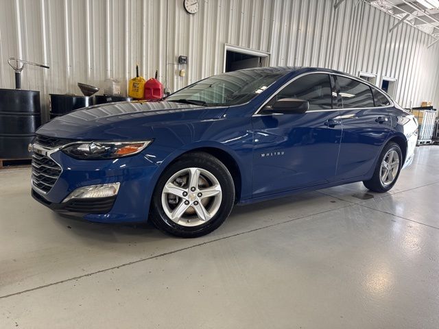 2023 Chevrolet Malibu 1LS's photo