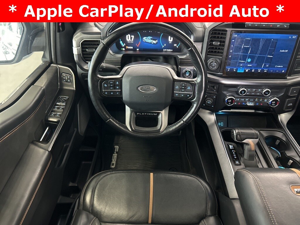 2021 Ford F-150 Platinum photo 2