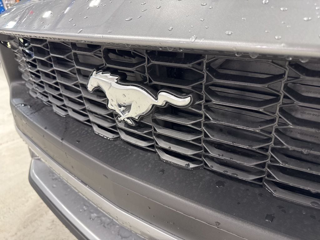 2025 Ford Mustang EcoBoost Premium Fastback - Photo 12