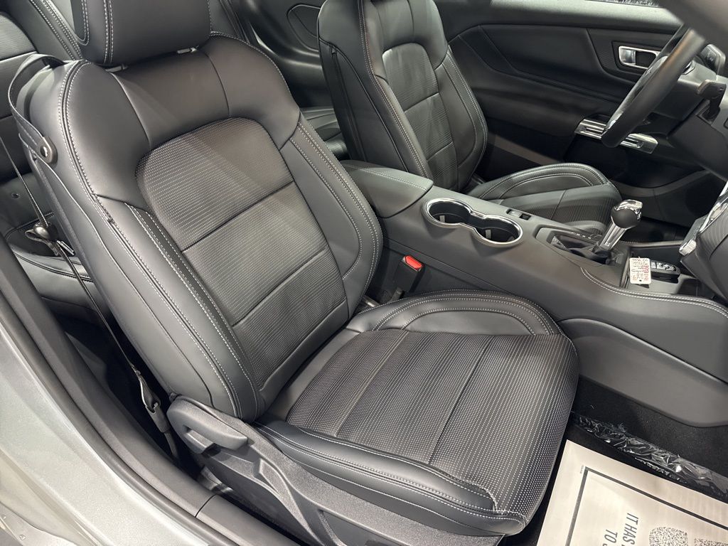 2025 Ford Mustang EcoBoost Premium Fastback - Photo 6
