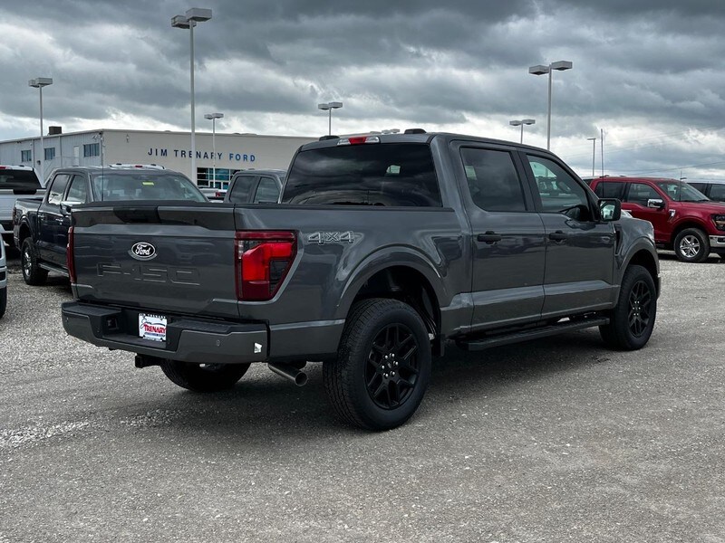 2025 Ford F-150 STX photo 3