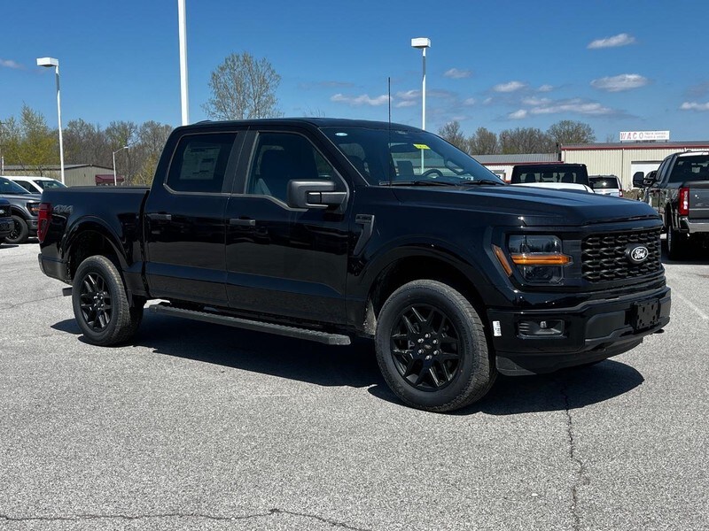 2025 Ford F-150 STX photo 2