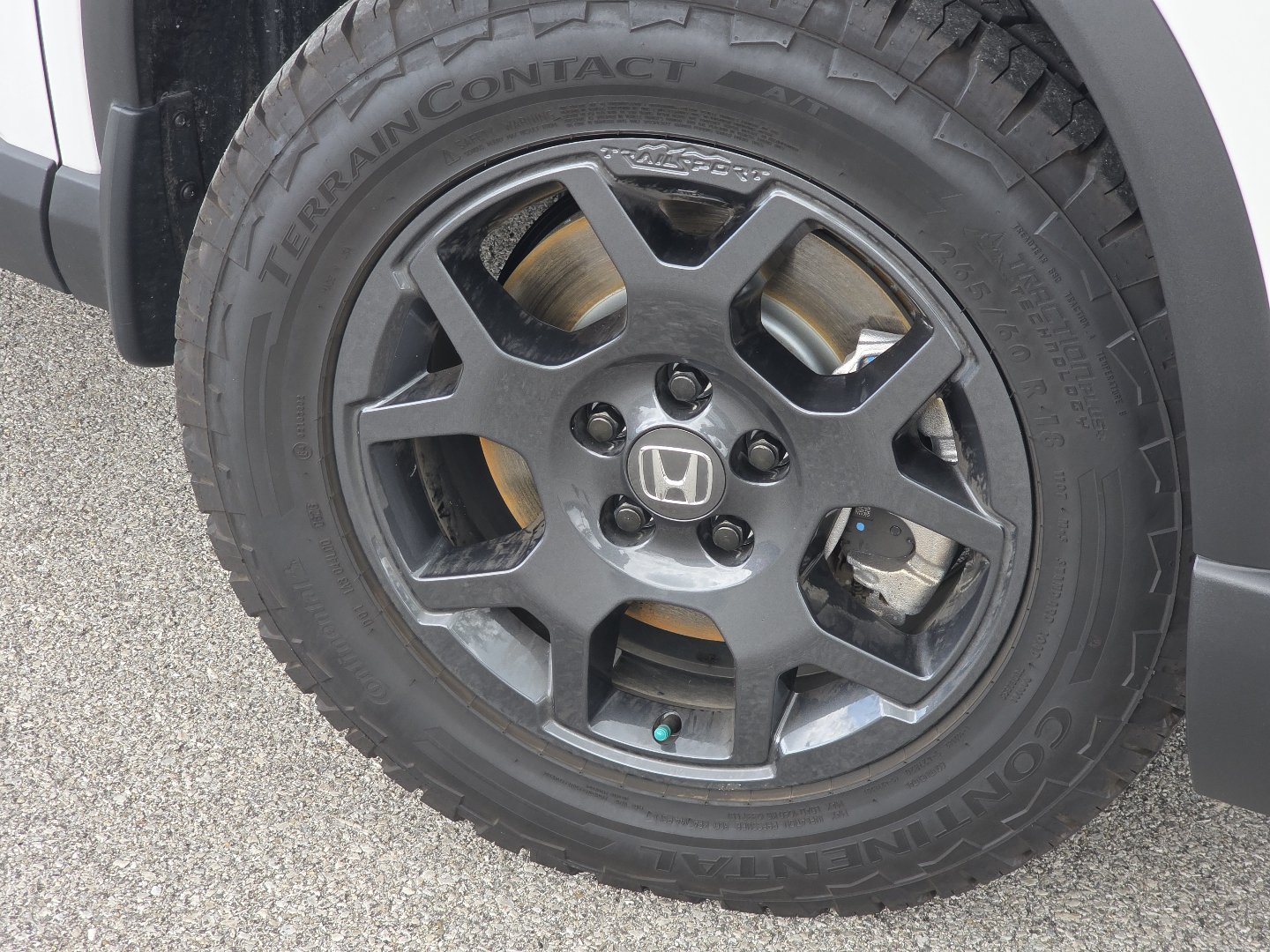 2026 Honda Pilot TrailSport - Photo 10