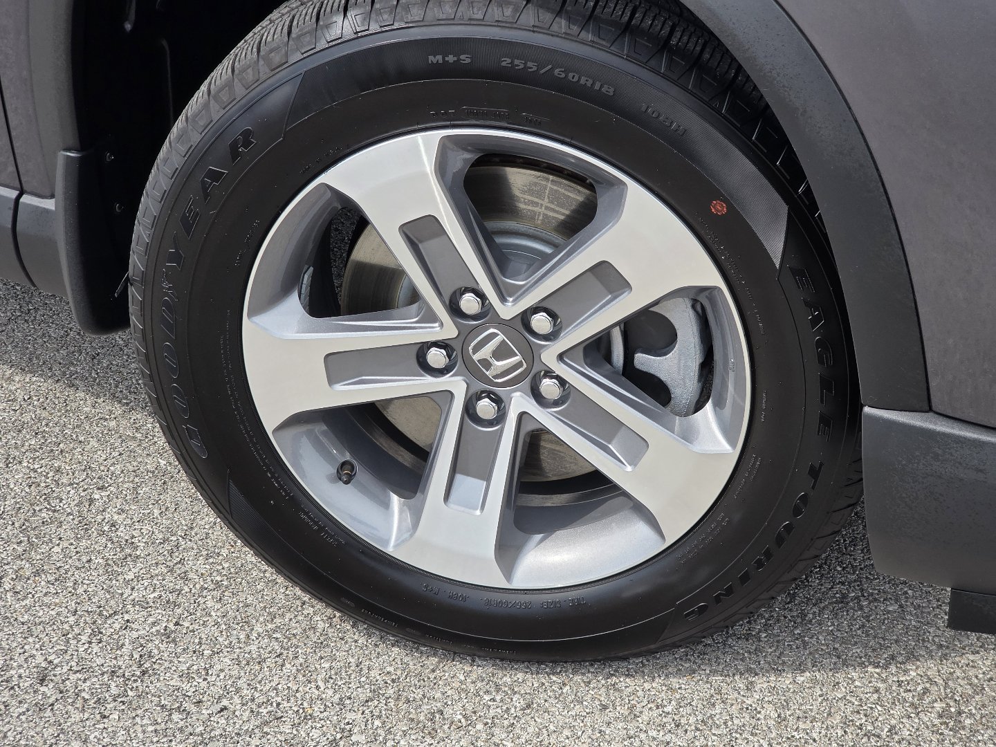 2025 Honda Pilot EX-L - Photo 9