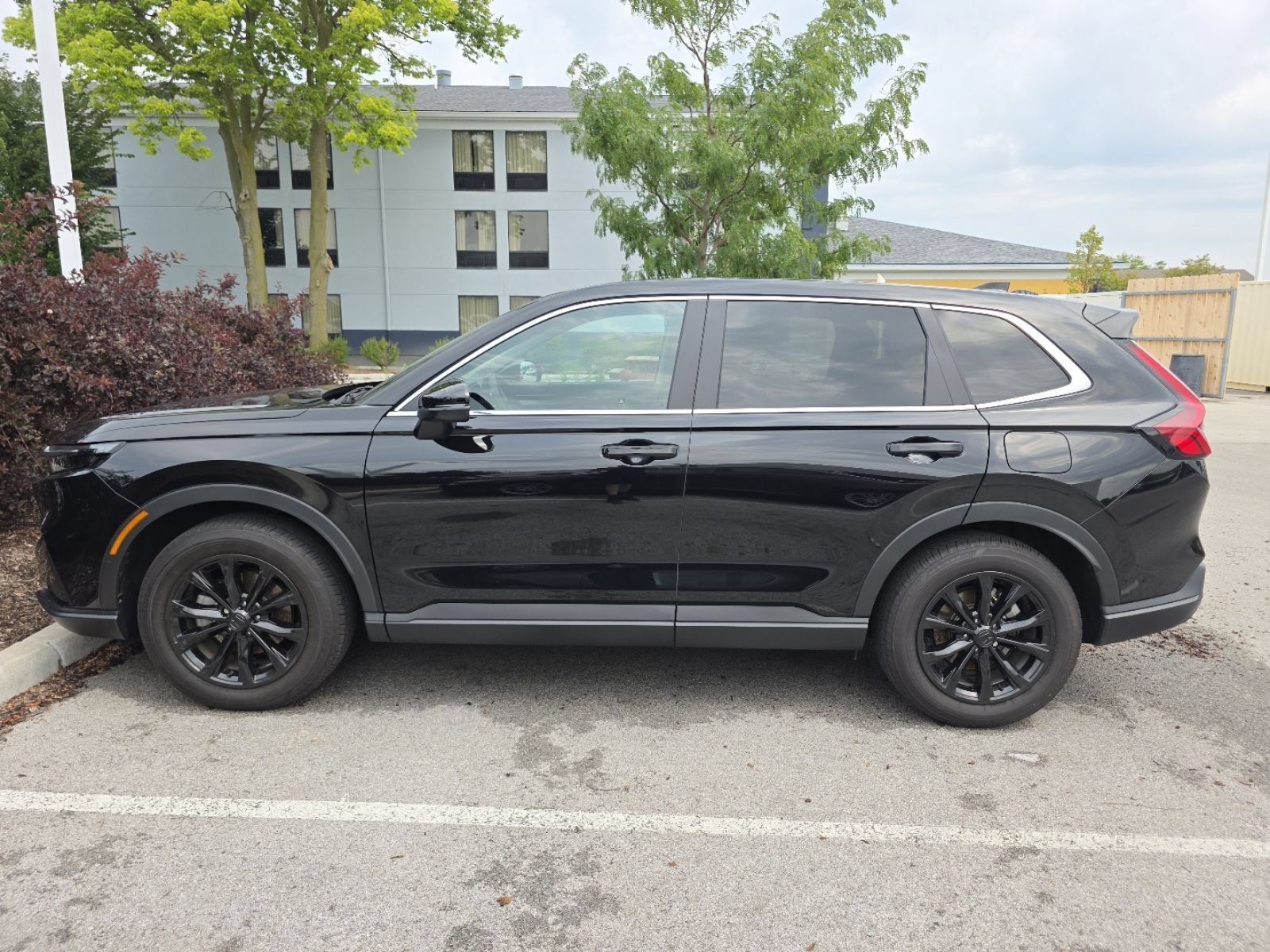 Photo 3