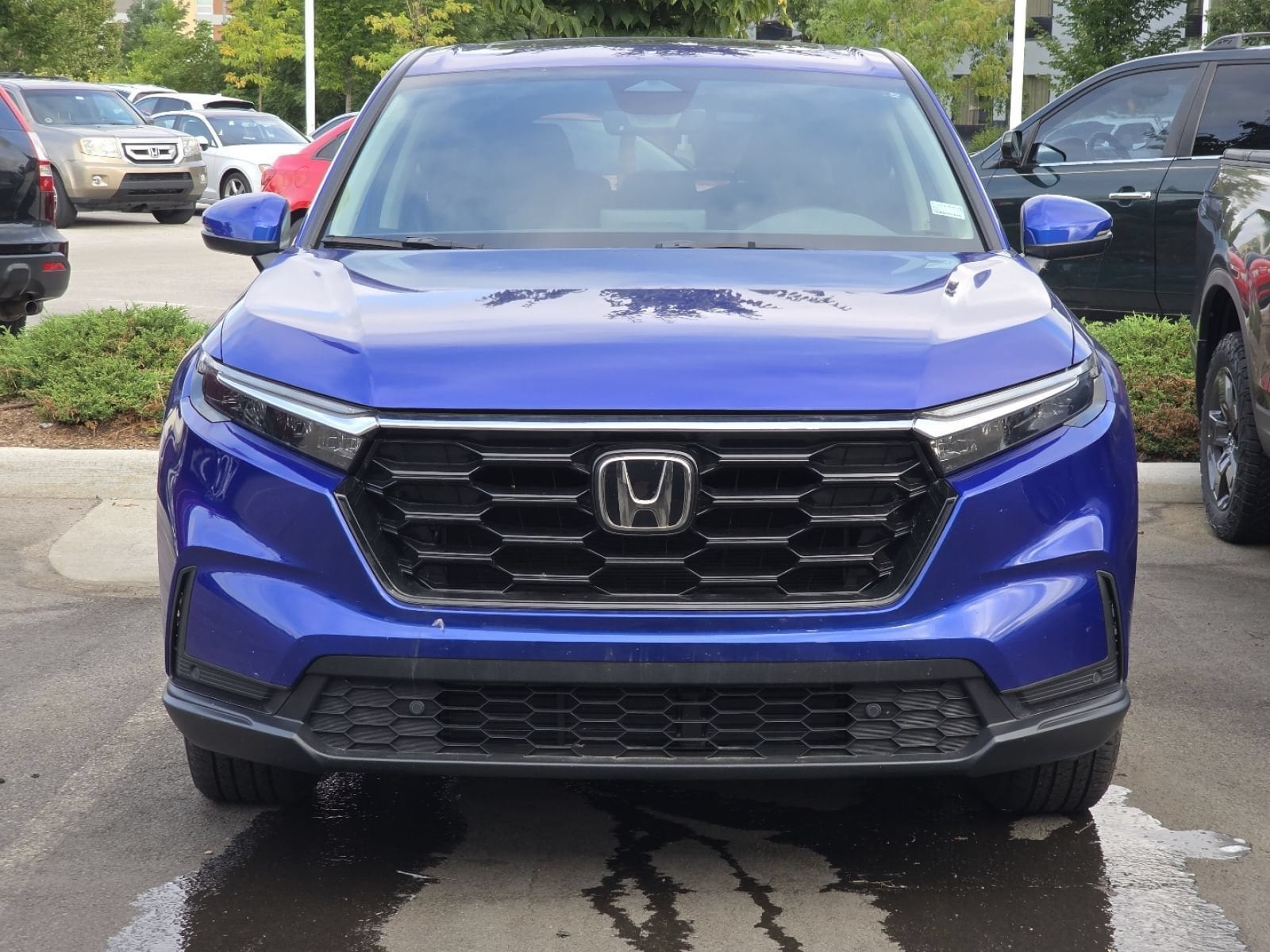 2024 Honda CR-V EX-L - Photo 6