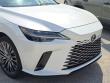 2024 LEXUS RX 350 Luxury SUV