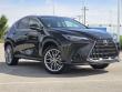 2024 LEXUS NX 350 Luxury SUV
