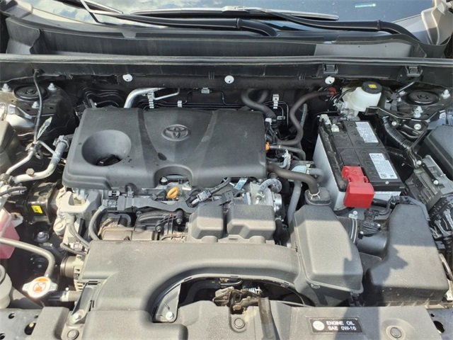2024 Toyota RAV4 XLE Premium photo 19