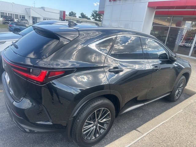 2023 Lexus NX 350h photo 3