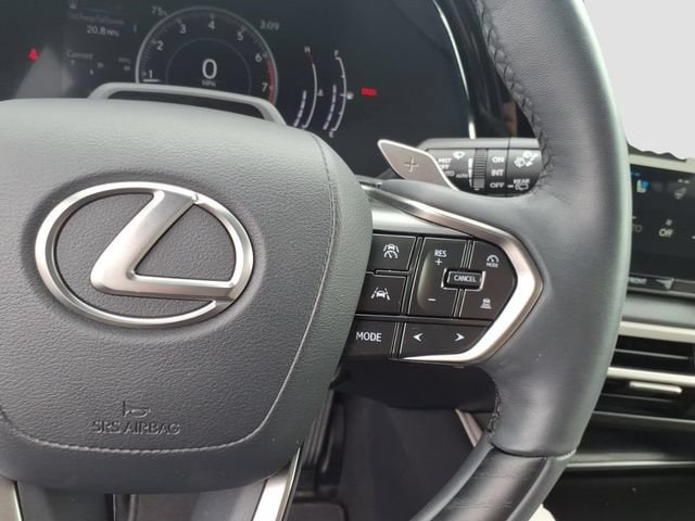 2023 Lexus RX 350 - Photo 10