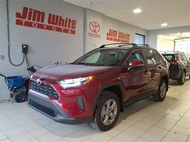 2025 Toyota RAV4 XLE's photo